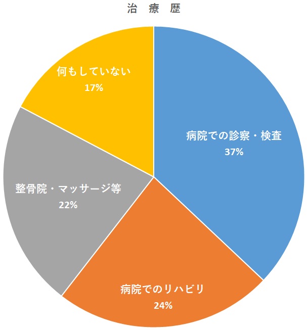 鹿屋市の整体からだ回復院鹿屋の来院者の治療歴